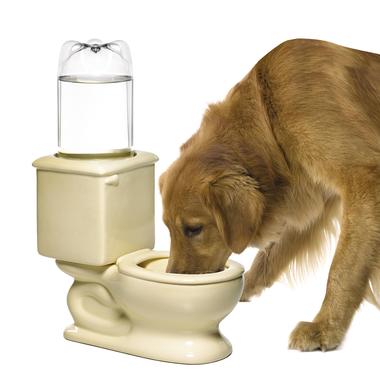 Dog_toilet_medium