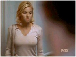 nipples.jpg (9595 bytes)