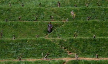 jordan14.jpg (25953 bytes)