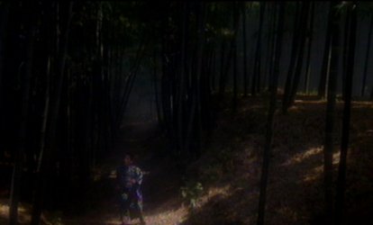 jordan5.jpg (12174 bytes)