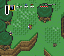 crow3.gif (11820 bytes)