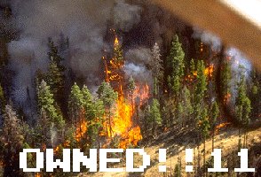forestfire.jpg (24574 bytes)