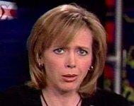 what2.jpg (7094 bytes)