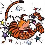 Calvin and Hobbes fight club