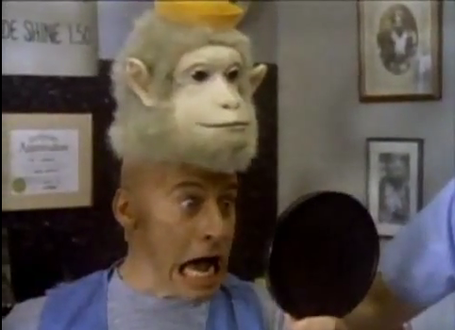 Hey-vern-its-ernest-103-baby-baboon_medium