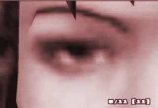 eye.jpg (9261 bytes)