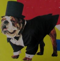 dogcostume.jpg (8027 bytes)
