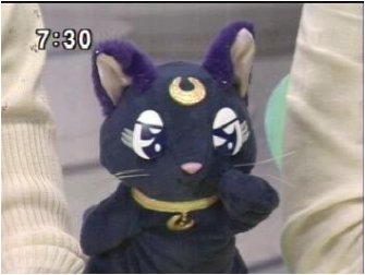 luna.JPG (16516 bytes)