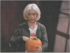 sbs3.jpg (14329 bytes)