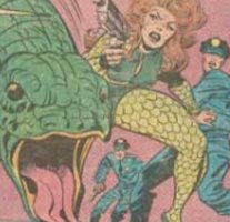 15.jpg (12375 bytes)