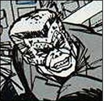 16.jpg (17254 bytes)