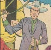 20.jpg (11614 bytes)