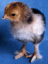 ARE YOU THREATENING ME?