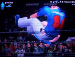 emfarns2.jpg (14008 bytes)