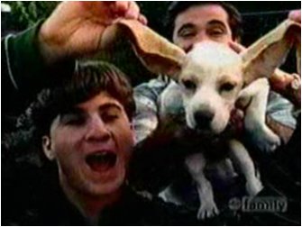 29.jpg (19511 bytes)