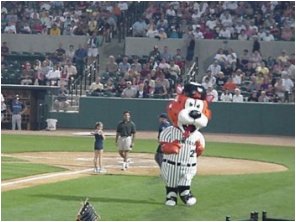 derekcheetah.jpg (20378 bytes)