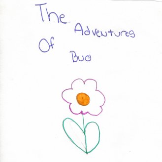 budtitle.jpg (9966 bytes)