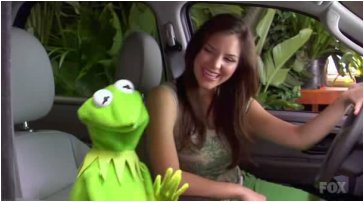 ai26.jpg (18750 bytes)