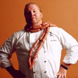 food16.jpeg (13679 bytes)