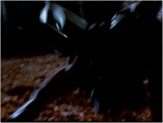 ginger18.jpg (11744 bytes)