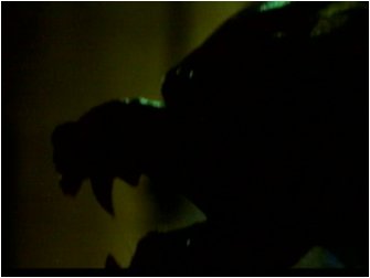 ginger19.jpg (7601 bytes)