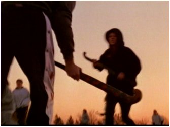 ginger24.jpg (14621 bytes)