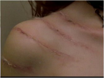 ginger9.jpg (11328 bytes)