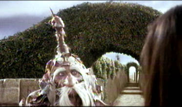 lab24.jpg (33179 bytes)