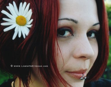 redhead3.jpg (21362 bytes)