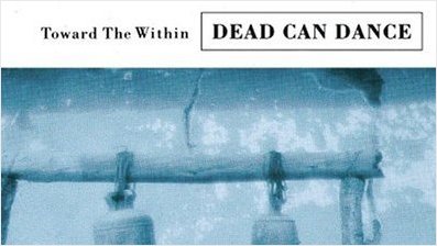 tracysface3.jpg (21516 bytes)