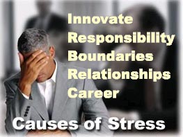 C:\Documents and Settings\Bill\Desktop\Management\Causes of Stress.jpg