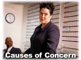 C:\Documents and Settings\Bill\Desktop\Management\Causes of Concern.jpg