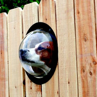 Pet Observation Dome