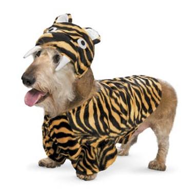 Sabertooth_20tiger_20dog_20costume_medium