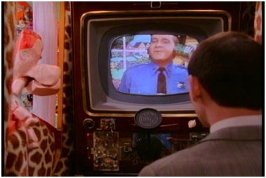 21.jpg (22301 bytes)