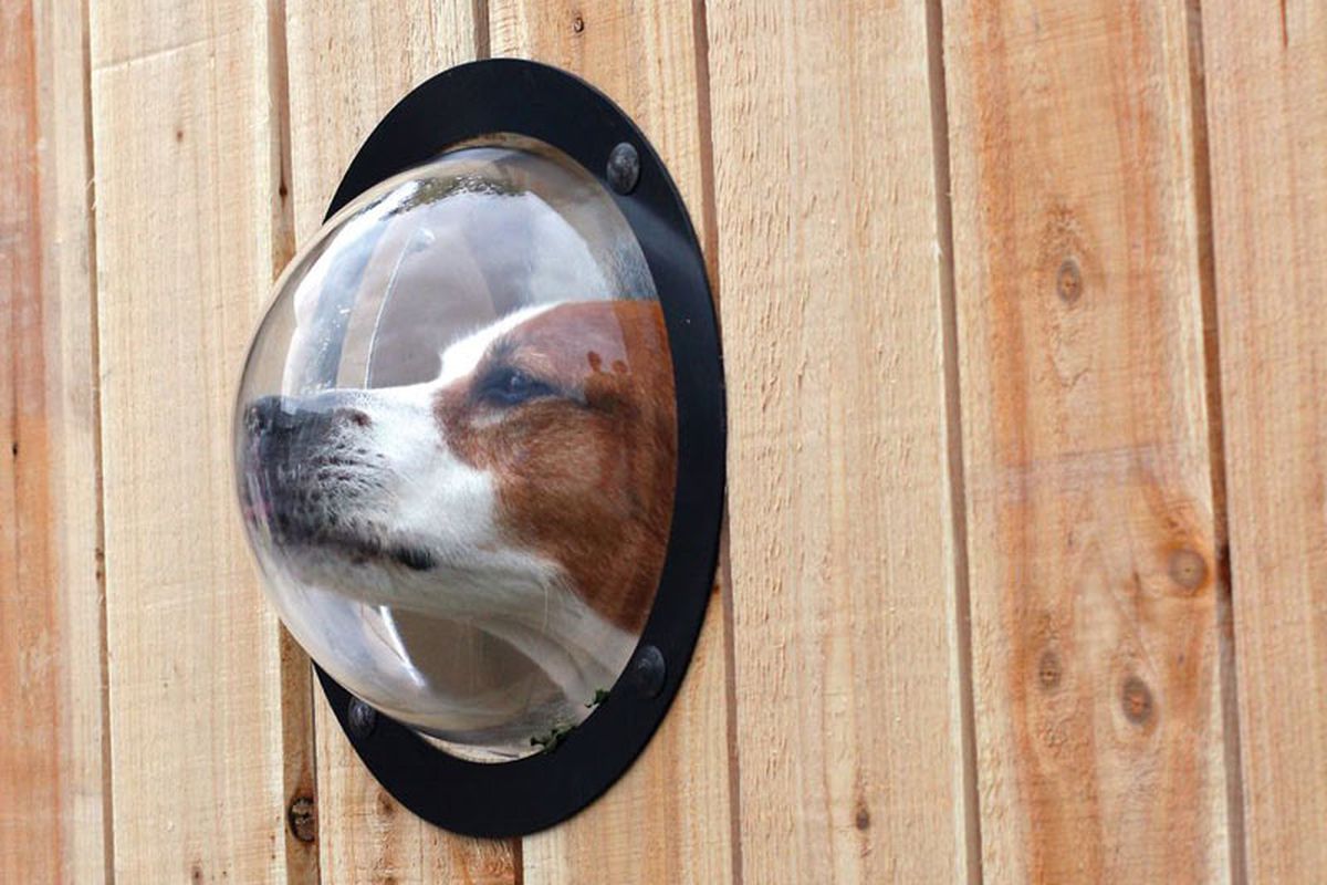 Pet Observation Dome
